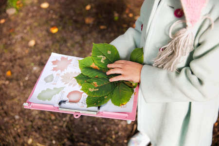 A girl in a green coat holds a notebook with a picture of leaves.の写真素材
