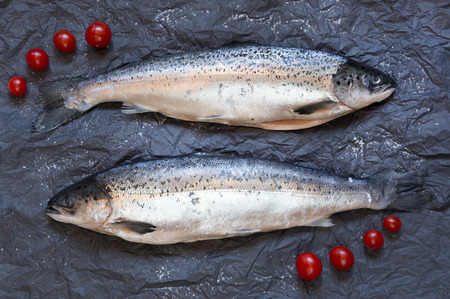 Fresh uncooked fish on black background with tomatoes, top view.