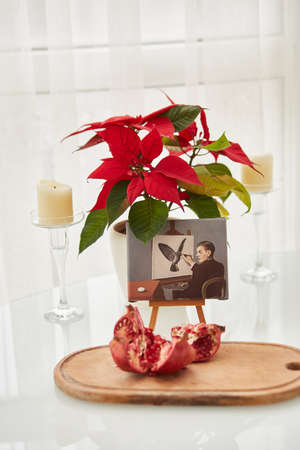 Kyiv, Ukraine: February, 28 - Morning concept with coffee, chocolate marshmallow and pomegranate. Christmas flower. Cozy home concept. High quality photoのeditorial素材