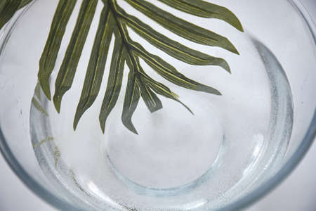 Tropical leaf in the water. The concept of climate change and the need for air. Breath concept. High...