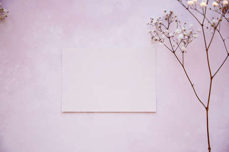 Delicate gypsophila and stationery card. Beige background, Scandinavian interior. Top view. Feminine minimalism concept.の写真素材