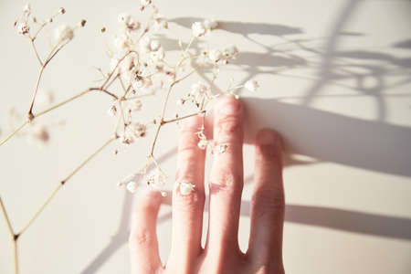 Touching gypsophila flower on the white surface background with shadows. Save the Earth concept.の写真素材