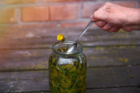 Herbal medicine concept. Dandelion tincture is a natural homeopathic remedy at home. Dandelion infused in alcohol. Rustic backgroundの写真素材