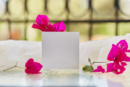Summer white post card or invitation mockup of pink flowers of bougainvillea. bright sunny...