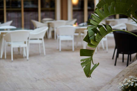 Beach bar, tables and chairs in bright sunny weather. Summer and vacation concept. High quality photoの写真素材