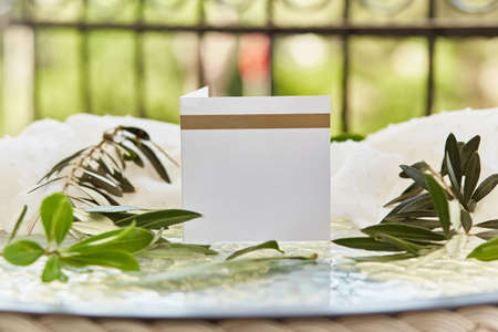 Summer white post card or invitation mockup with green sprig of olive tree. Bright sunny background....