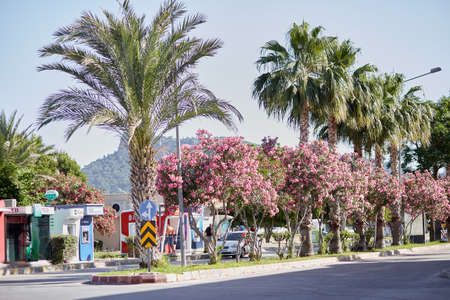 Kemer, Turkey - May 24, 2021: Turkish urban view: promenade with blooming trees, palms, green nature, cars and road signs on sunny day. Lifestyle editorial view. High quality photoのeditorial素材