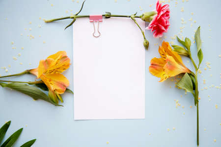 Festive postcard mock up on blue background with alstroemeria and aistra flowers. Top view. 1st of...