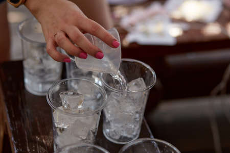 Young woman at a bachelorette party makes a mojito cocktail for the company. Preparation instructions. Step 1. High quality photoの写真素材