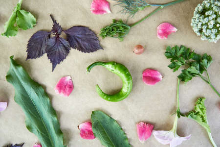 Vegetable frame: beet, basil, eggplant, parsley, bell pepper, hot pepper, potatoes, cucumber,...