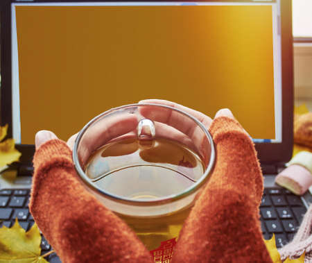 Warm cup of tea close up, yellow leaves and laptop. Cozy home, freelance, online studying,...