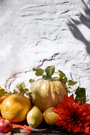 Autumn aesthetic fair: yellow fruits and vegetables, pumpkin, pears, apple and melon. Thanksgiving Day concept with copy space. Autumn still life with red georgine, modern shadows. High quality photoの写真素材