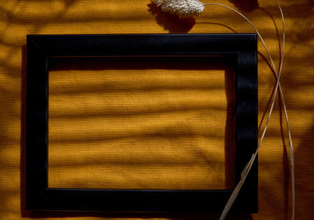 Black frame and dry Lagurus ovatus grass under trendy shadows. Copy space. Creative background. High quality photoの写真素材