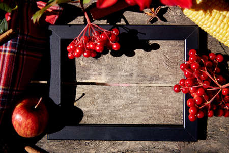 Autumn creative mood board concept: fruits and vegetables, pumpkin, corn, pears, apple, grapes and melon in the black frame. Thanksgiving Day concept. Autumn aesthetic still life with trendy shadows.の写真素材