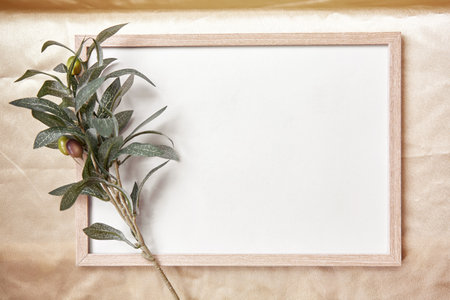 Minimalistic mock - up frame background with olive tree branch. High quality photoの写真素材