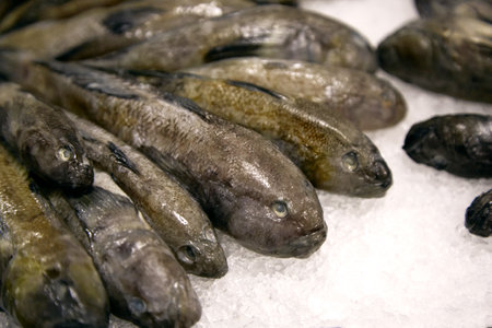 Goby fish on a shop display close-up. Fish supermarket. A wide variety of fish. High quality photo