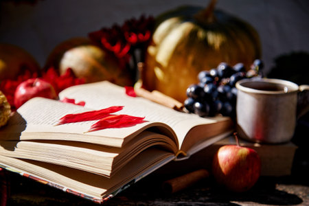 Cozy autumn background: open book with cup of tea, grapes, viburnum, pumpkin and cinnamon sticks on wooden table. Thanksgiving Day concept. Outdoor still life with trendy shadowsの写真素材