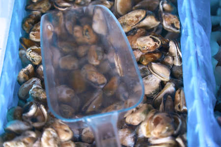Sea and ocean iced fish on a shop display close-up. Fish supermarket. A wide variety of fish. High...