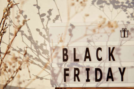 Signboard with text Black Friday and gypsophila flower. Online shopping concept. Buying presents for Christmas. Hgh trendy shadows. Cozy home. High quality photoの写真素材