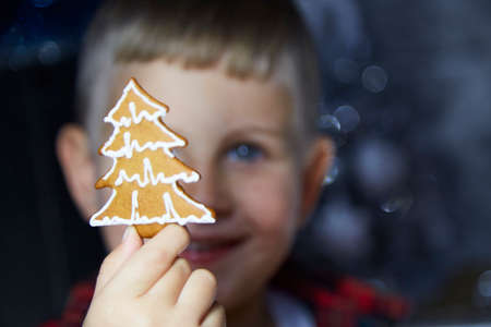 Portrait of cute cheerful toddler with Christmas cookies among festive decorations. Selective focus. Atmospheric home for New Years Eve. Aesthetic home coziness. Cheerful baby boy. Joyful concept.の写真素材