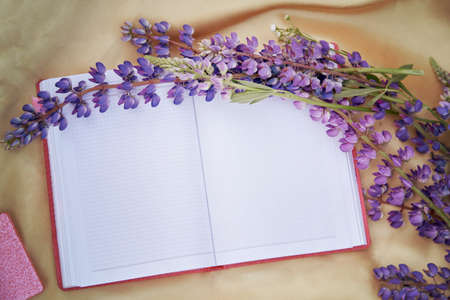 Open notebook mock up with purple lupins flowers golden background. Summer picnic. Place for text....