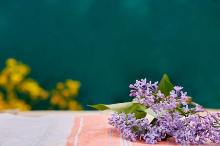 Lilac flower spring background. Cottagecore aesthetic concept. copyspace. high quality photo