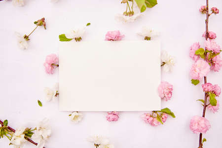 Stationery card mockup with spring white and pink flowers. Romantic, wedding, birthday, invitation, mother's day mock up card concept. copyspace. top view.の写真素材