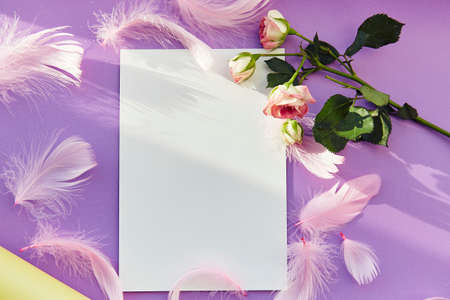 White mockup with pink feathers, pink roses and shadows. Happy birthday, invitation, festive...