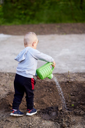 Child watering young tree in the garden. Spring work. High quality photoの写真素材