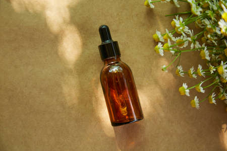 Amber glass dropper bottle with black lid on a natural background with shadows and chamomile...