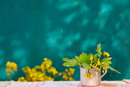 Lilac flower spring background. Cottagecore aesthetic concept. copyspace. high quality photoの写真素材