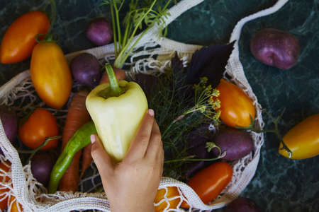 Baby hand taking sweet pepper from eco string bag. Summer crop vegetables - colorful tomatoes, purple potatoes, carrots, basil, dill under trendy hard shadows. ecological concernの写真素材