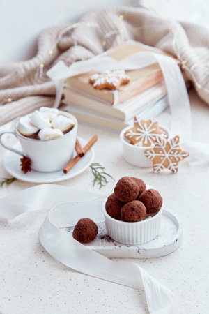 Cozy Christmas holidays with books, hot cocoa with marshmallows, ginger homemde cookies and truffle. Aesthetic Christmas background.の写真素材