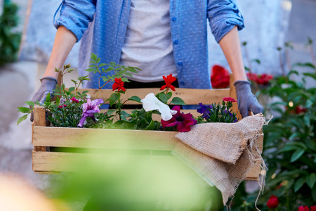 Woman gardener holding wooden box with flowers pots. home gardening. Small business, casual clothing, flower shop, flowerpot, freelancer, gardening. Cottage core botanical aesthetic.の写真素材