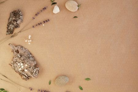 natural sustainable background concept with pebbles and tree bark with copy space.の写真素材