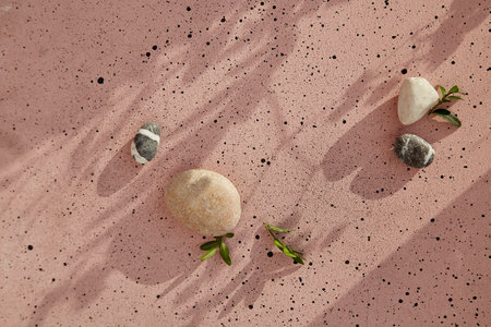 Minimalistic background with leaves, pebbles under sunny shadows. Sustainable, recycling, global warming, green energy concept. Place for your text.の写真素材