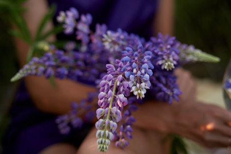 Woman holds purple lupins. Wellness closeness to nature. Self-discovery and connecting with nature conceptの写真素材