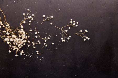 Dry gypsophila flowers background. Impotence, lack of strength, disappointment concept. top view.