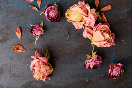 Dry roses on rustic background. Zero waste, organic decorations. Autumn vibes background. Copy space.の写真素材