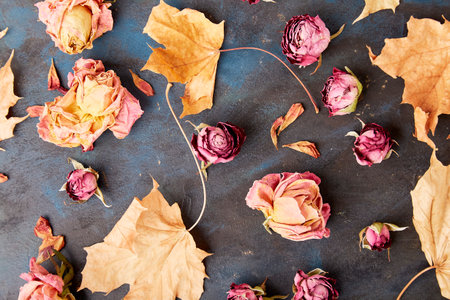 Autumn vibes pattern. Dry roses and maple leaves on rustic background. Zero waste, organic decorations.の写真素材