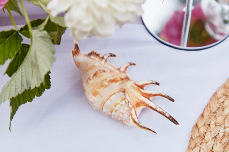 Stylish table setting with shell close up.