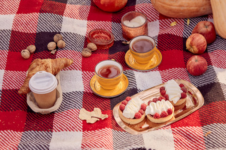 Autumn picnic ideas in the park with tea cups, tarts, coffee on the plaid for two. Cozy autumn food.の写真素材