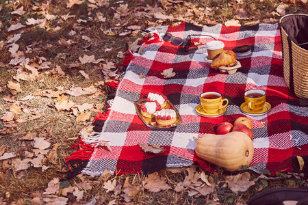 Autumn picnic ideas for two in the park with, tea cups, tarts, coffee on the plaid. Cozy autumn food.の写真素材