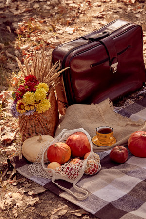 Autumn vintage picnic ideas with plaid, autumn decorations, pumpkins, tea cup, flowers. Fall aesthetics.の写真素材