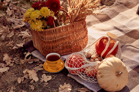 Autumn aesthetic picnic ideas - autumn decorations, pumpkins, tea cup, flowers on the with plaidの写真素材
