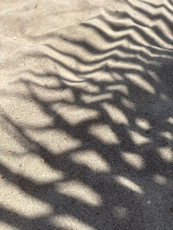 Shadows of palm leaves on warm sand in natural sunlight. Minimal tropical textures, summer vibes, abstract beach patterns. Ideal for travel, design, nature, wellness, resort visuals.の写真素材
