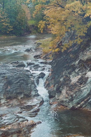 Autumn forest river background scenic landscape.