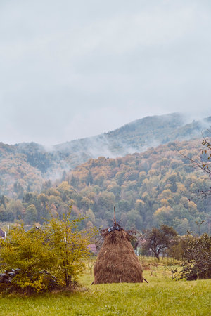 Autumn misty Carpathian mountain landscape.
