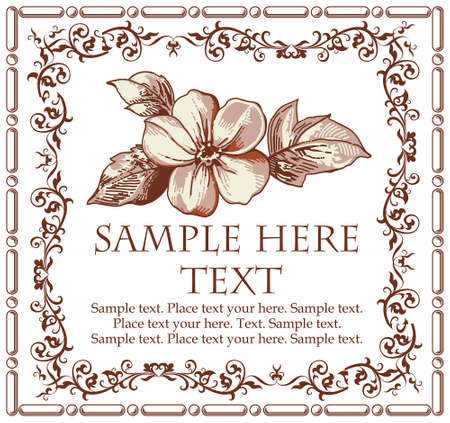 Wedding marriage invitation. Beautiful blooming flowers. Vintage greeting card. Frame. Drawing engraving. Freehand. Apple wildflowers. Floral. Wallpaper baroque. Vector thanks victorian Illustrationのイラスト素材