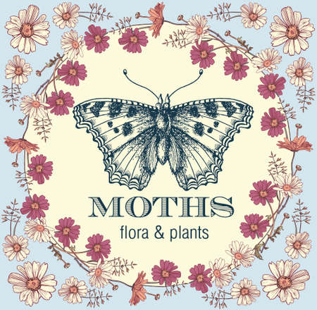 Butterfly moth Insect animals realistic flying. Wedding invitation Greeting card. Beautiful frame. Flowers Chamomile Wildflowers Flora Fauna. Engraving drawing. Freehand. Vintage illustration.のイラスト素材